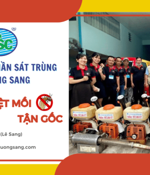 SÁT TRÙNG TRƯỜNG SANG - TRIỆT ĐỂ MỐI MỌT, SẠCH BÓNG CÔN TRÙNG