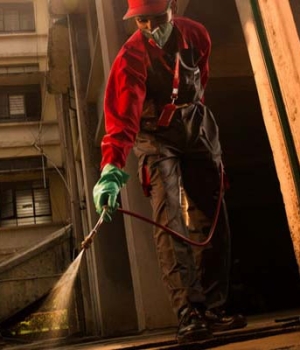 Dịch vụ diệt mối KCN TP.HCM